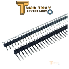 Jump Đực Cái Đơn Đôi  40P Chân Thẳng và Cong