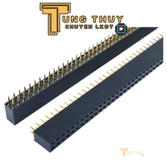 Jump Đực Cái Đơn Đôi  40P Chân Thẳng và Cong