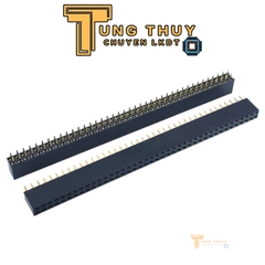 Jump Đực Cái Đơn Đôi  40P Chân Thẳng và Cong