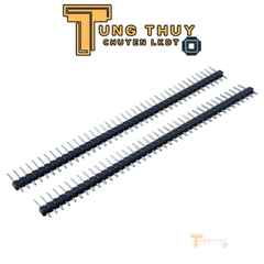 Jump Đực Cái Đơn Đôi  40P Chân Thẳng và Cong