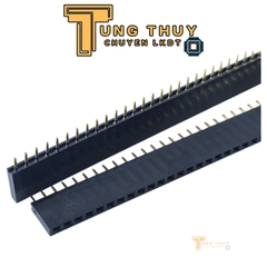 Jump Đực Cái Đơn Đôi  40P Chân Thẳng và Cong