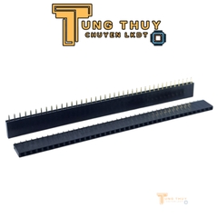 Jump Đực Cái Đơn Đôi  40P Chân Thẳng và Cong