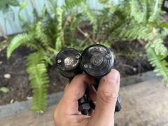 Đèn Signal DAYTONA tình trạng 80%