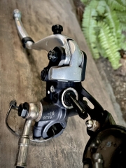 Cùm thắng BREMBO tháo xe - TRIUMPH THRUXTON tình trạng 80%