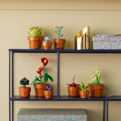 Đồ Chơi Lắp Ráp Bộ Sưu Tập Hoa Xương Rồng LEGO BOTANICALS 10329 (758 chi tiết)