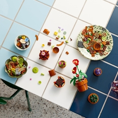 Đồ Chơi Lắp Ráp Bộ Sưu Tập Hoa Xương Rồng LEGO BOTANICALS 10329 (758 chi tiết)