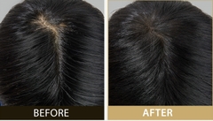 Enprani Inkronize Lasting Hair Puff