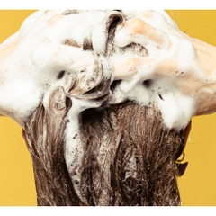 Dầu gội đặc Lush Jumping Juniper