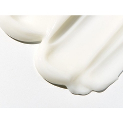 Kem dưỡng tái tạo Ertstein Rigenereative Silk Cream