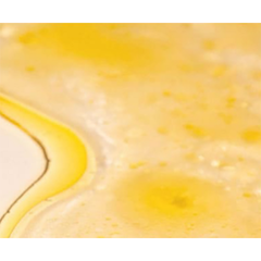 Serum Dưỡng Da Dalba