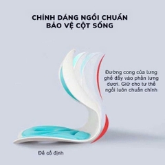 GHẾ TỰA LƯNG CÔNG THÁI HỌC