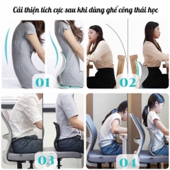 GHẾ TỰA LƯNG CÔNG THÁI HỌC