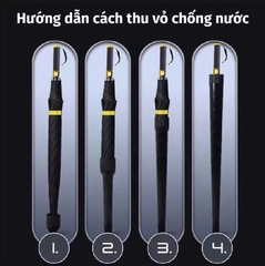 Ô dù carbon