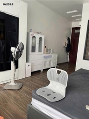 GHẾ TỰA LƯNG CÔNG THÁI HỌC