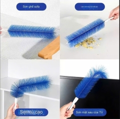 CHỒI LONG CỨNG MÀU XANH