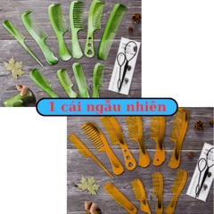 SET 10 LƯỢC CHẢI TÓC