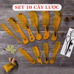 SET 10 LƯỢC CHẢI TÓC