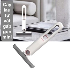Cây Lau Kính, Lau Bếp Tự Vắt Mini Đa Năng