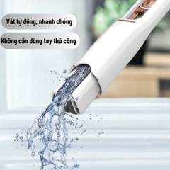 Cây Lau Kính, Lau Bếp Tự Vắt Mini Đa Năng