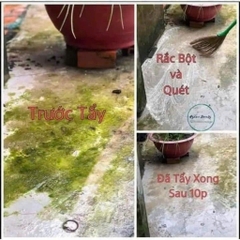 BỘT TẨY RONG RÊU