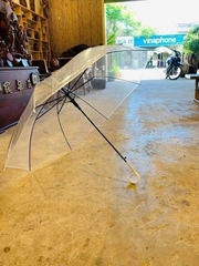 DÙ TRONG SUỐT