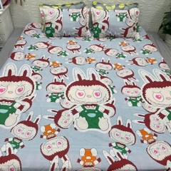Bộ Ga Gối Poly 3 Món 1m6x2m