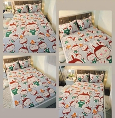 Bộ Ga Gối Poly 3 Món 1m6x2m