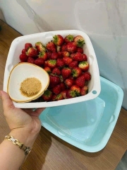 Sét 3 bộ rổ chậu nhựa to nhỏ nhà bếp, bộ rổ 6 món cao cấp đựng đồ ECCO