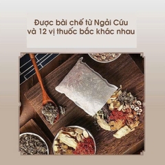 BICH 100 GÓI BỘT THẢO DƯỢC NGÂM CHÂN TÚI LỌC VỊ NGẢI CỨU