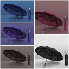 Ô , DÙ TỰ ĐỘNG ĐÓNG MỞ 10 NAN