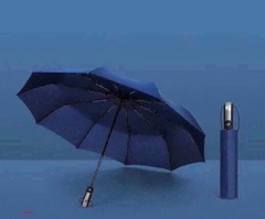 Ô , DÙ TỰ ĐỘNG ĐÓNG MỞ 10 NAN
