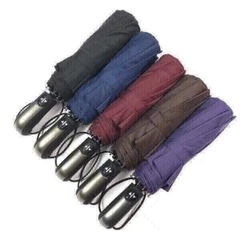 Ô , DÙ TỰ ĐỘNG ĐÓNG MỞ 10 NAN