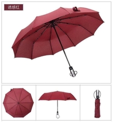 Ô , DÙ TỰ ĐỘNG ĐÓNG MỞ 10 NAN