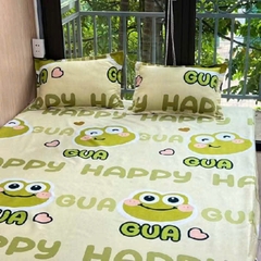 Bộ Ga Gối Poly 3 Món 1m8x2m