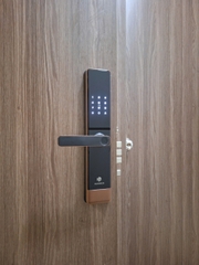 Khóa cửa vân tay HUMMER HM-666