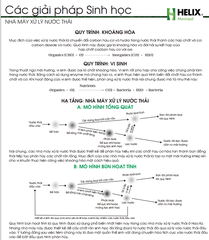 Minimizer Liq - Sản phẩm xử lý nước thải nhập khẩu từ Mỹ