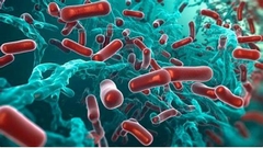 LÁ XANH - Bổ xung Enzyme, lợi khuẩn đường ruột và kích thích hệ miễn dịch tự nhiên