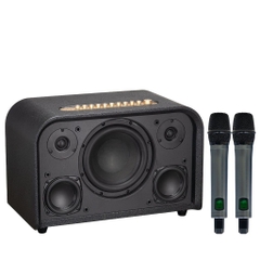 Loa Karaoke SONCAMEDIA ACOUSTIC 3 Compact