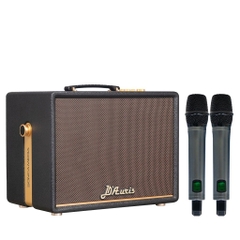 Loa Karaoke ACNOS D'Auris 200