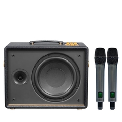 Loa Karaoke ACNOS D'Auris 200