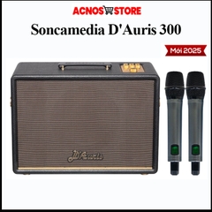 Loa Karaoke ACNOS D'Auris 300