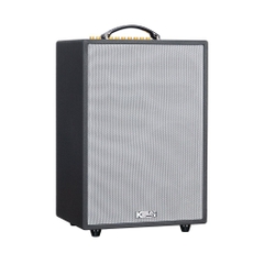 Loa Karaoke SONCAMEDIA ePOP 100