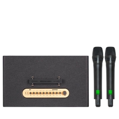 Loa Karaoke ACNOS FLAC 39