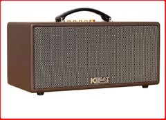Loa karaoke ACNOS CS366 PLUS