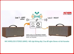 Loa karaoke ACNOS CS366 PLUS