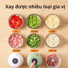 Máy xay tỏi ớt cầm tay tiện dụng