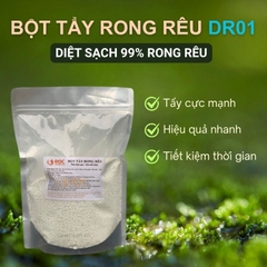Bột Tẩy Rong Rêu DR01 500g - Đánh Bay Rêu Mốc, Chống Trơn Trượt Sân Nhà (Siêu Mạnh)