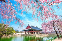 Tour Hàn Quốc 5N4Đ:  Seoul - Namiisland- Everland - CV Hoa Anh Đào