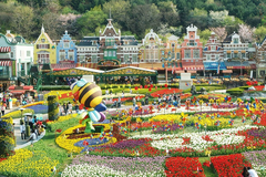 Tour Hàn Quốc 5N4Đ:  Seoul - Namiisland- Everland - CV Hoa Anh Đào