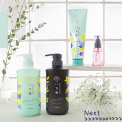 Dầu gội xả Ichikami Kracie chai 480ml (túi nylon set 2) (Xanh - Chăm sóc tóc nhuộm)